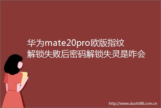 华为mate20pro欧版指纹解锁失败后密码解锁失灵是咋会