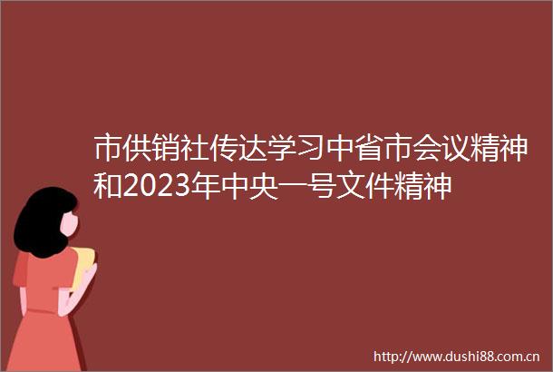 市供销社传达学习中省市会议精神和2023年中央一号文件精神