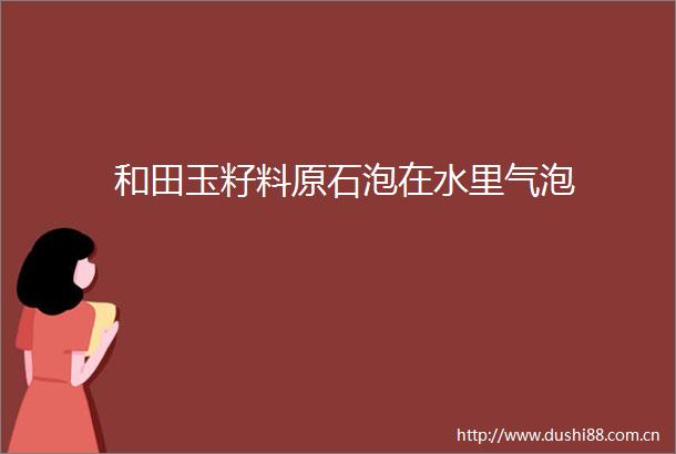和田玉籽料原石泡在水里气泡