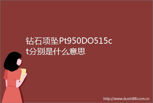 钻石项坠Pt950DO515ct分别是什么意思
