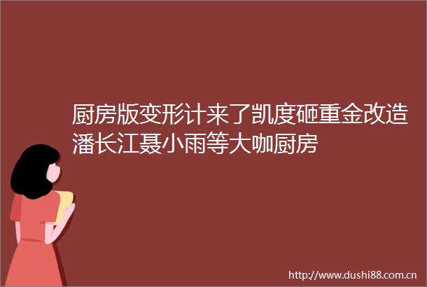 厨房版变形计来了凯度砸重金改造潘长江聂小雨等大咖厨房