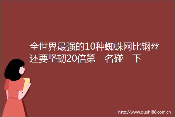 全世界最强的10种蜘蛛网比钢丝还要坚韧20倍第一名碰一下