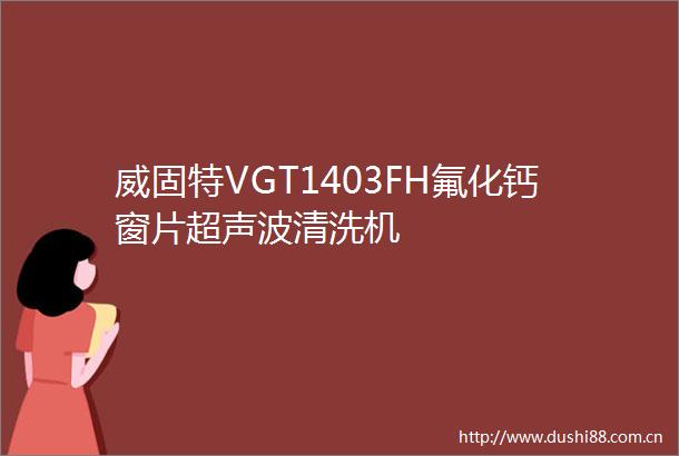 威固特VGT1403FH氟化钙窗片超声波清洗机