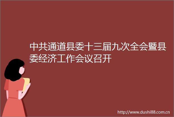 通道县委十三届九次全会暨县委经济工作会议召开