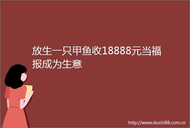 放生一只甲鱼收18888元当福报成为生意