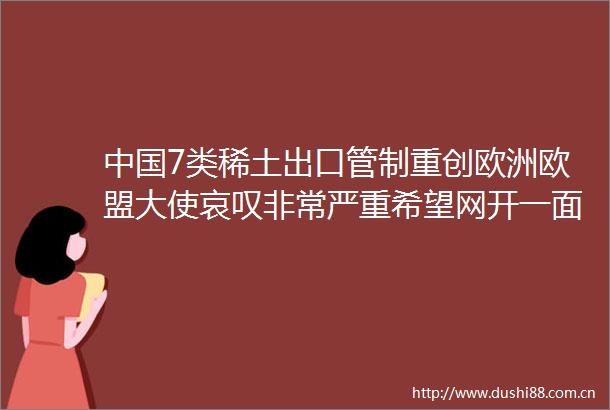 7类稀土出口管制重创欧洲欧盟大使哀叹非常严重希望网开一面
