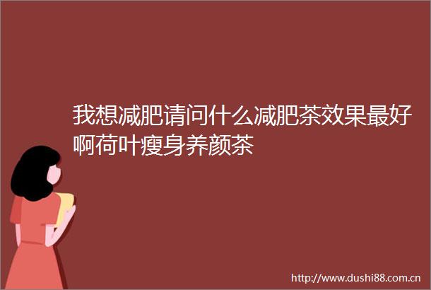 我想减肥请问什么减肥茶效果最好啊荷叶瘦身养颜茶