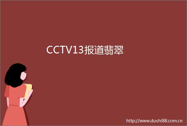 CCTV13报道翡翠