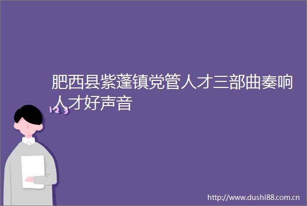 肥西县紫蓬镇党管人才三部曲奏响人才好声音