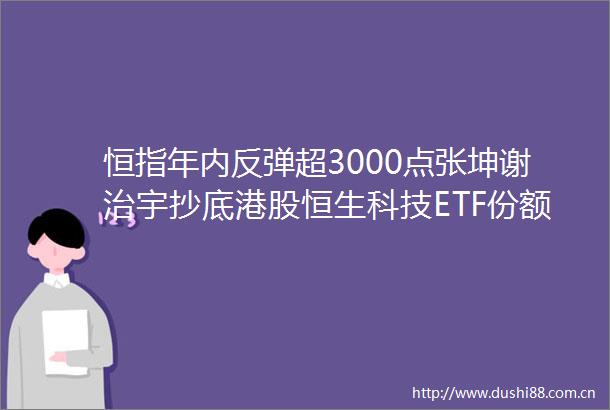 恒指年内反弹超3000点张坤谢治宇抄底港股恒生科技ETF份额创新高