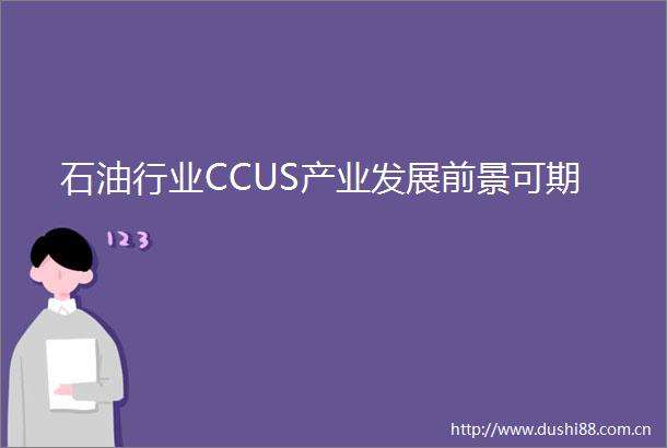 石业CCUS产业发展前景可期