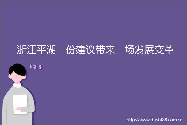 浙江平湖一份建议带来一场发展变革
