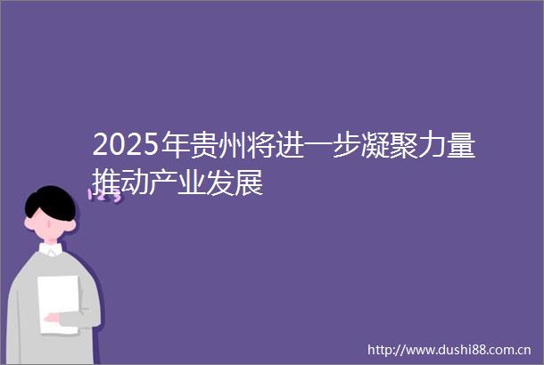 2025年贵州将进一步凝聚力量推动产业发展