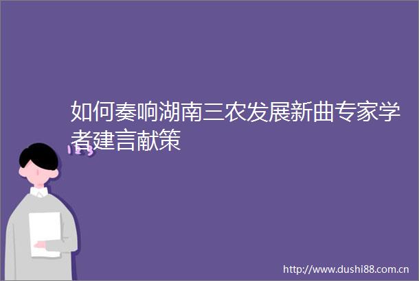 如何奏响湖南三农发展新曲专家学者建言献策
