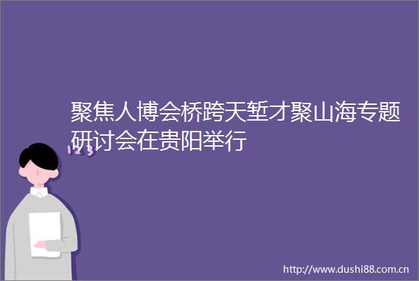 聚焦人博会桥跨天堑才聚山海专题研讨会在贵阳举行
