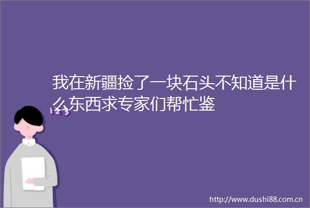 我在新疆捡了一块石头不知道是什么东西求专家们帮忙鉴