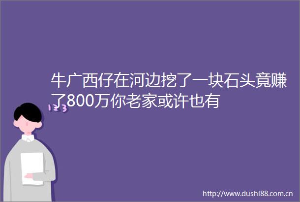 牛广西仔在河边挖了一块石头竟赚了800万你老家或许也有