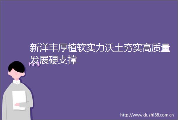 新洋丰厚植软实力沃土夯实高质量发展硬支撑
