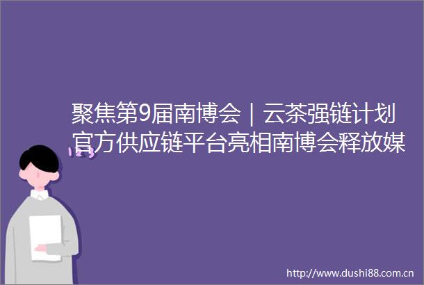 聚焦第9届南博会｜云茶强链计划官方供应链平台亮相南博会释放媒体电商新动能