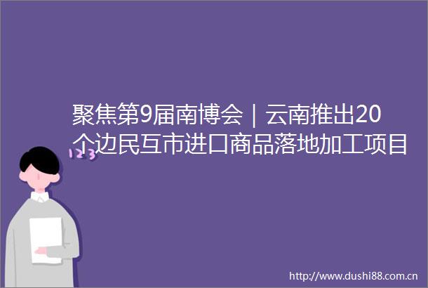 聚焦第9届南博会｜云南推出20个边民互市进口商品落地加工项目邀你投资云南