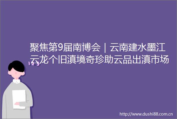 聚焦第9届南博会｜云南建水墨江云龙个旧滇境奇珍助云品出滇市场更加广阔