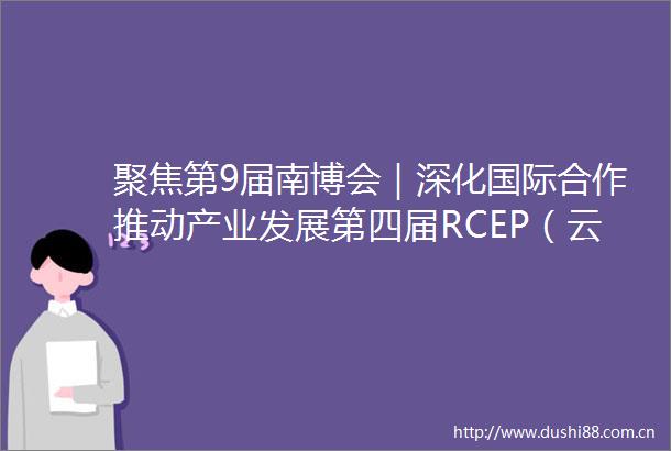 聚焦第9届南博会｜深化国际合作推动产业发展第四届RCEP（云南）国际贸易投资合作论坛侧记