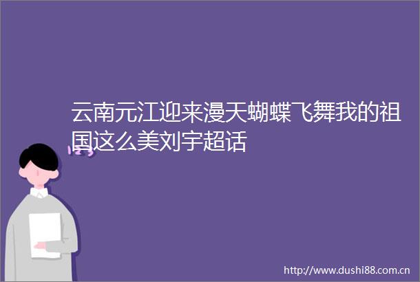 云南元江迎来漫天蝴蝶飞舞我的祖国这么美刘宇超话