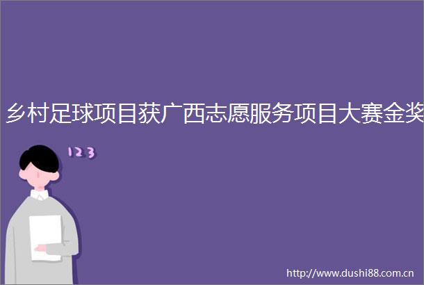 乡村足球项目获广西志愿服务项目大赛金奖