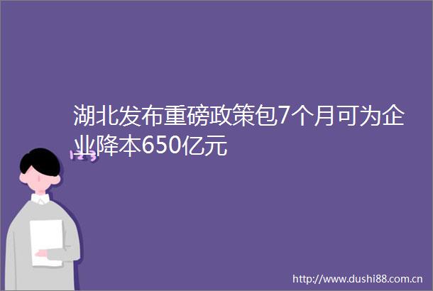 湖北发布重磅政策包7个月可为企业降本650亿元