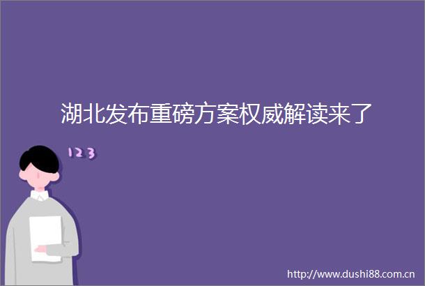 湖北发布重磅方案权威解读来了