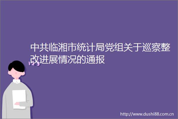 临湘市统计局党组关于巡察整改进展情况的通报