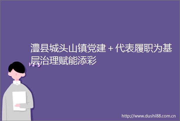 澧县城头山镇党建＋代表履职为基层治理赋能添彩