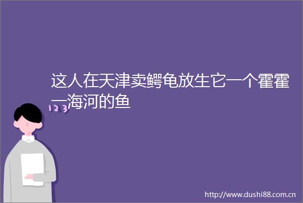 这人在天津卖鳄龟放生它一个霍霍一海河的鱼