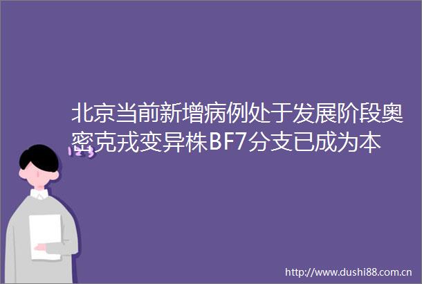 北京当前新增病例处于发展阶段奥密克戎变异株BF7分支已成为本次疫情主要毒株