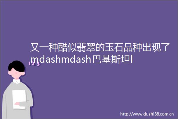 又一种酷似翡翠的玉石品种出现了mdashmdash巴基斯坦ldquo山南矽卡岩rdquo
