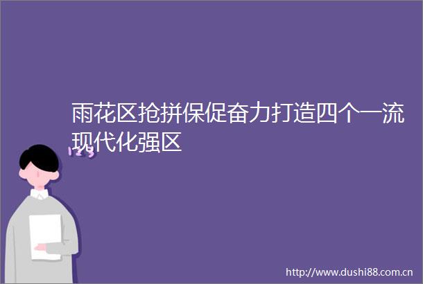 雨花区抢拼保促奋力打造四个一流现代化强区