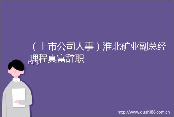 （上市公司人事）淮北矿业副总经理程真富辞职
