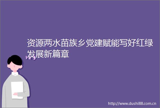 资源两水苗族乡党建赋能写好红绿发展新篇章
