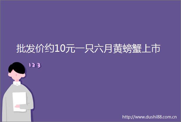 批发价约10元一只六月黄螃蟹上市