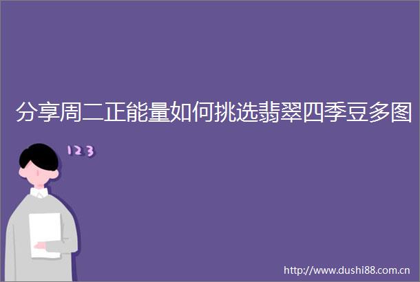 分享周二正能量如何挑选翡翠四季豆多图