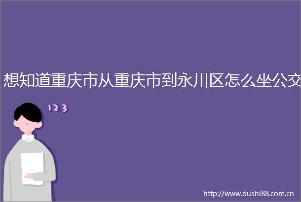 想知道重庆市从重庆市到永川区怎么坐公交