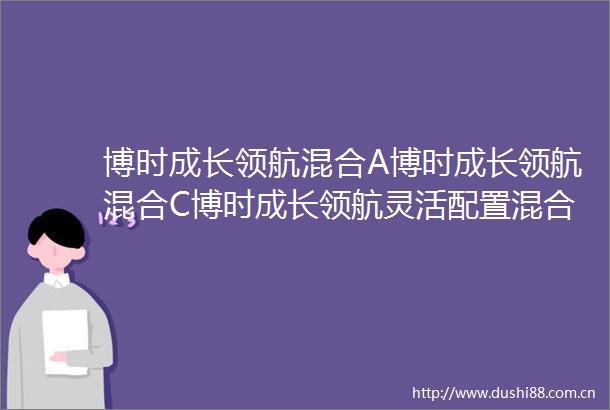博时成长领航混合A博时成长领航混合C博时成长领航灵活配置混合型证券投资基金更新招募说明书