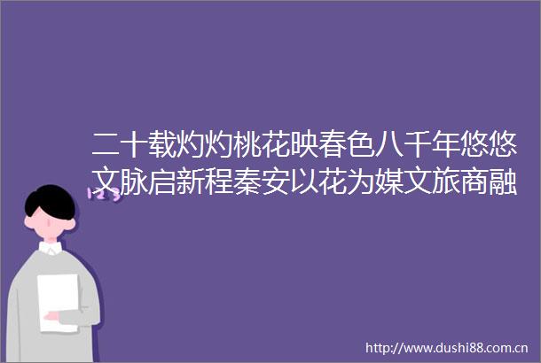 二十载灼灼桃花映春色八千年悠悠文脉启新程秦安以花为媒文旅商融合步履铿锵新华网