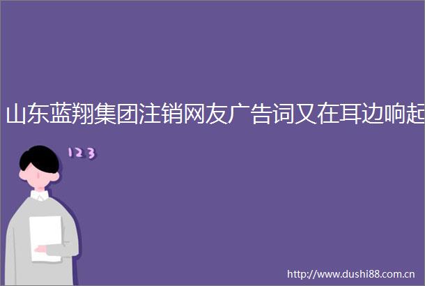 山东蓝翔集团注销网友词又在耳边响起