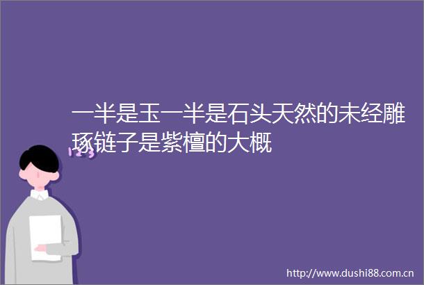 一半是玉一半是石头天然的未经雕琢链子是紫檀的大概