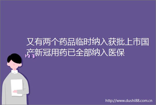 又有两个药品临时纳入获批上市国产新冠用药已全部纳入医保