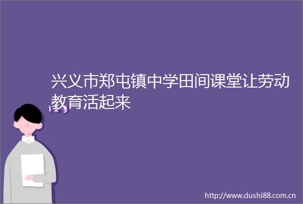 兴义市郑屯镇中学田间课堂让劳动教育活起来
