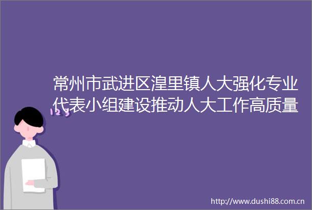 常州市武进区湟里镇人大强化专业代表小组建设推动人大工作高质量发展