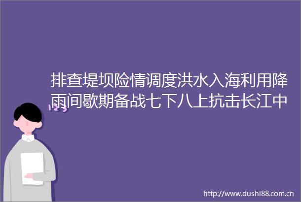 排查堤坝险情调度洪水入海利用降雨间歇期备战七下八上抗击长江中下游地区（湖北）洪水一线见闻