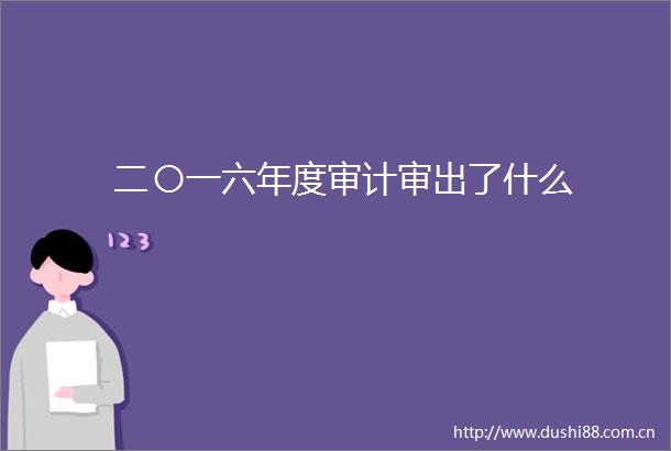 二〇一六年度审计审出了什么